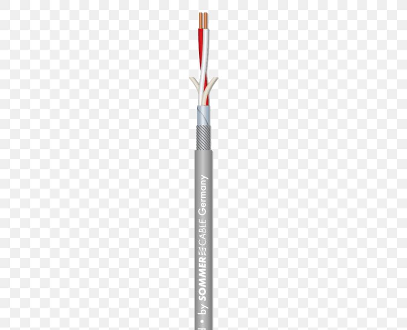 Pencil Zazzle VGA Connector Mini DisplayPort Business, PNG, 665x665px, Pencil, Adapter, Belkin, Business, Cable Download Free