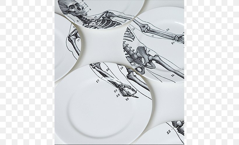 Plate Tableware Bone China Table Service Household Silver, PNG, 767x500px, Plate, Anatomy, Black And White, Bone, Bone China Download Free