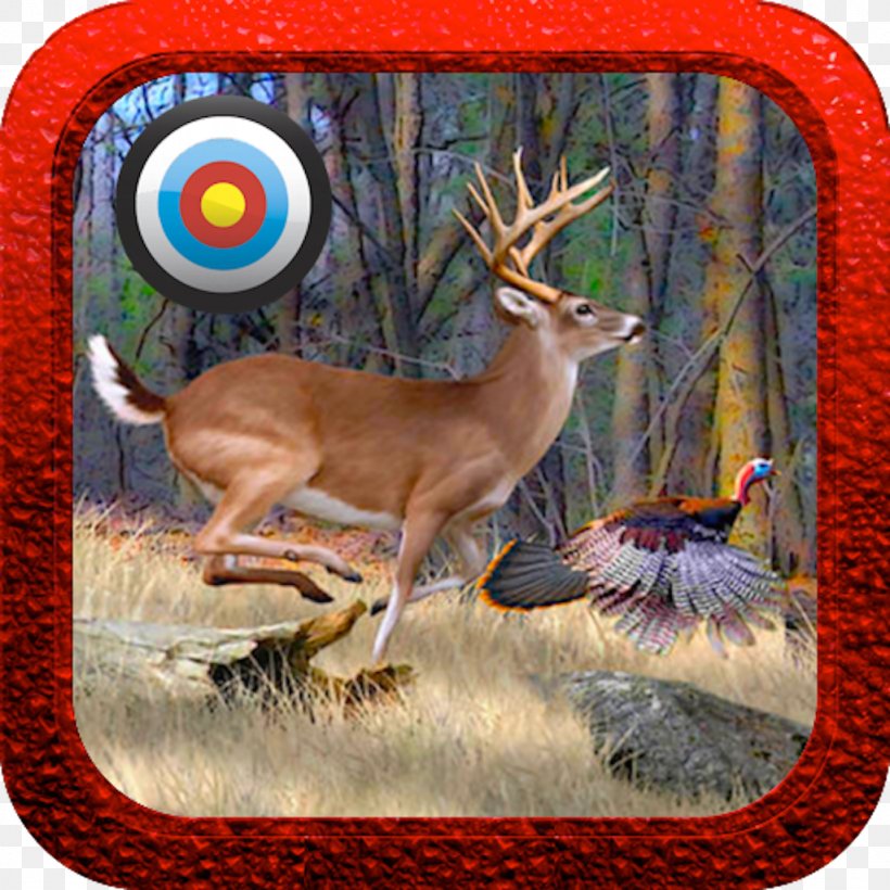 White-tailed Deer Antler Wildlife, PNG, 1024x1024px, Whitetailed Deer, Antler, Deer, Fauna, Mammal Download Free