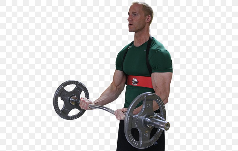 Barbell Biceps Physical Fitness Bodybuilding Shoulder, PNG, 522x522px, Barbell, Arm, Bench, Biceps, Biceps Curl Download Free