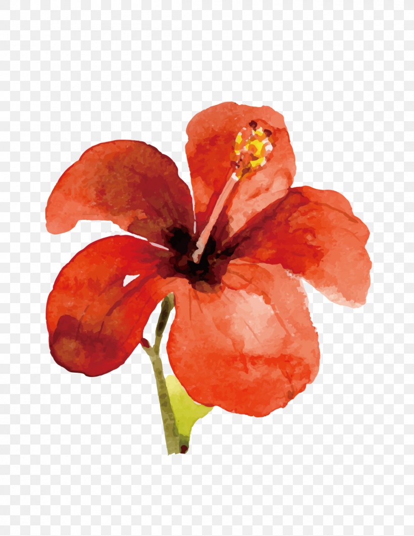 Download, PNG, 1159x1500px, Iphone 7, Acrylic Paint, Canna Lily, Coquelicot, Flora Download Free