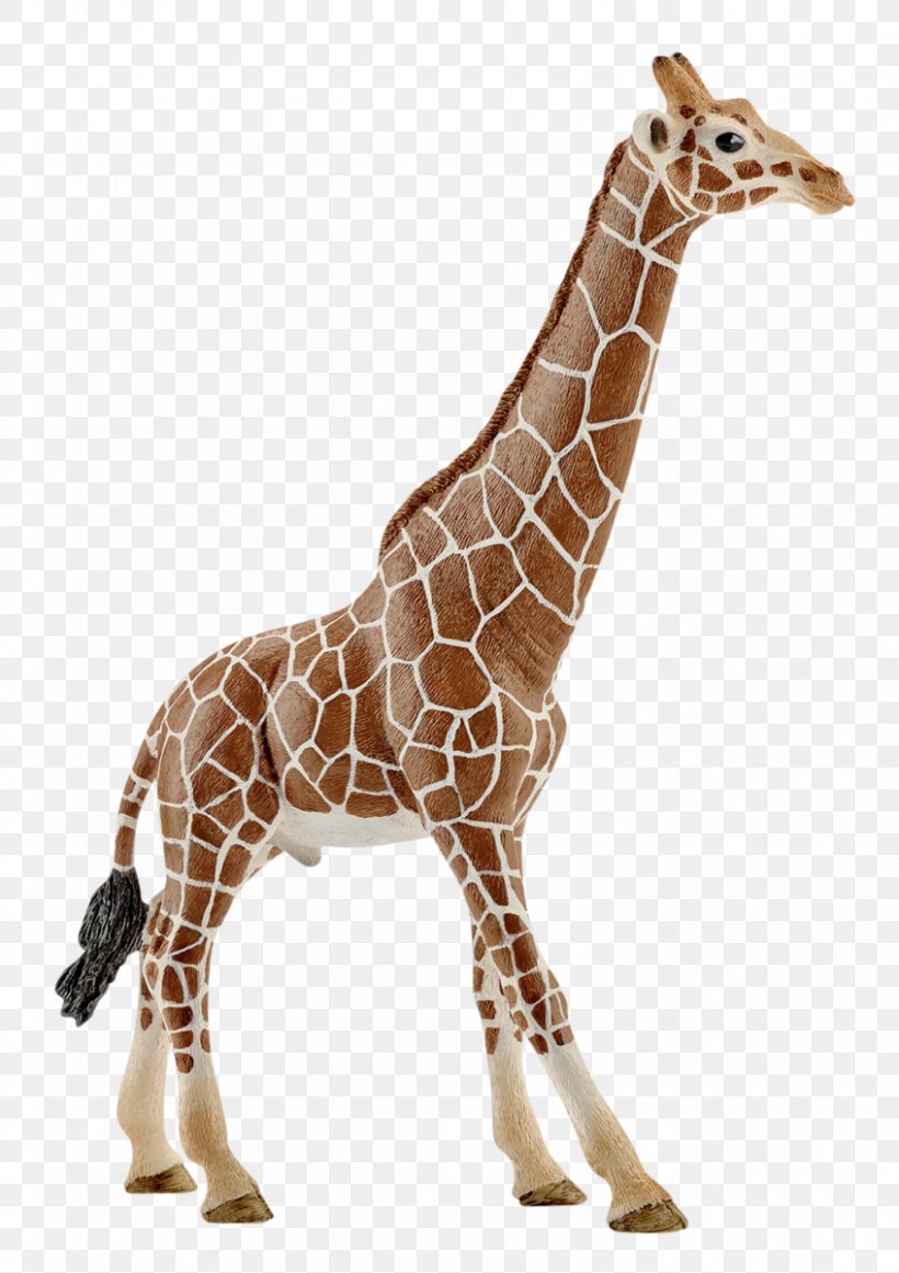 Giraffe Schleich Gr Toy Animal Figurine, PNG, 847x1200px, Giraffe, Action Toy Figures, Amazoncom, Animal Figure, Animal Figurine Download Free
