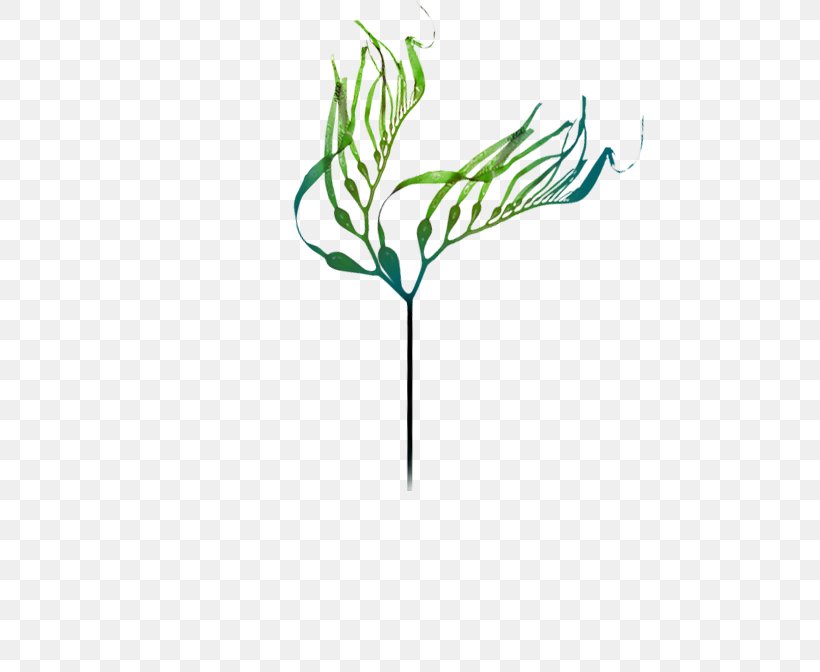 IPod Touch Art Clip Art, PNG, 556x672px, Ipod Touch, Art, Branch, Family, Flora Download Free