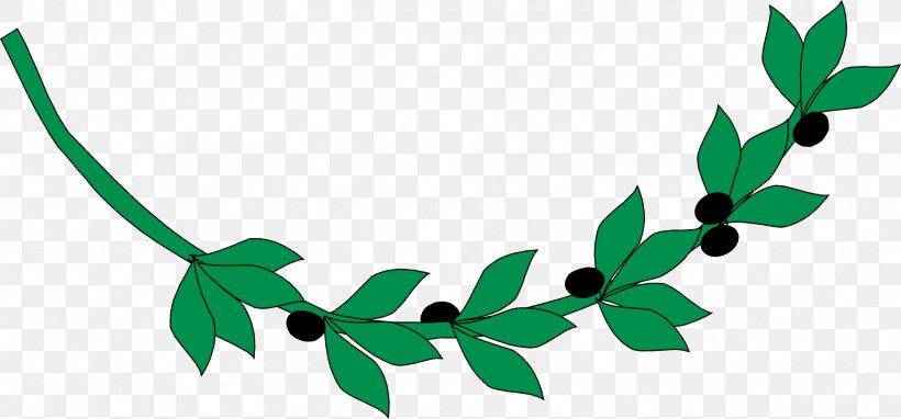 Olive Branch Clip Art, PNG, 2400x1119px, Olive Branch, Branch, Grass, Green, Laurel Wreath Download Free
