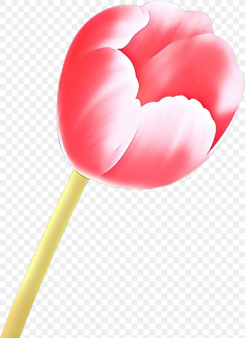 Pink Tulip Petal Plant Heart, PNG, 929x1280px, Pink, Flower, Heart, Lollipop, Petal Download Free