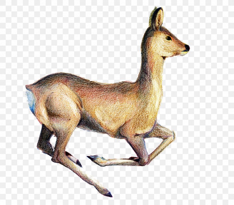 Red Deer Canidae Animal, PNG, 1500x1317px, Deer, Animal, Animal Figure, Blog, Canidae Download Free
