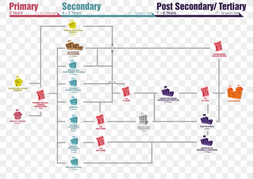 Singapore Tertiary Education School Student PNG 957x677px Singapore 