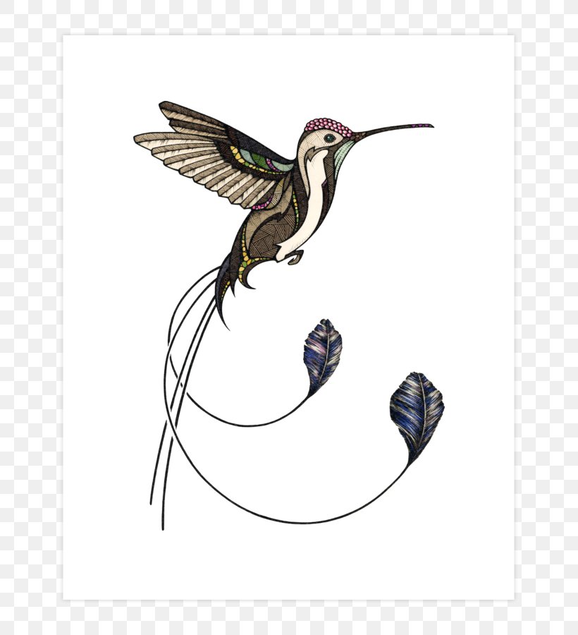 T-shirt Hummingbird Drawing, PNG, 740x900px, Tshirt, Art, Beak, Bird, Drawing Download Free