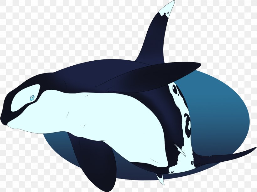 Whale Cartoon, PNG, 1483x1112px, Killer Whale, Blue Whale, Bowhead, Cartoon, Cetacea Download Free