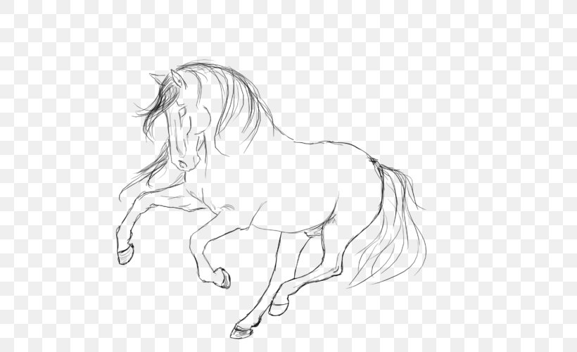 Mane Horse Pony Line Art Sketch, PNG, 500x500px, Mane, Animal Figure, Arm, Art, Artwork Download Free