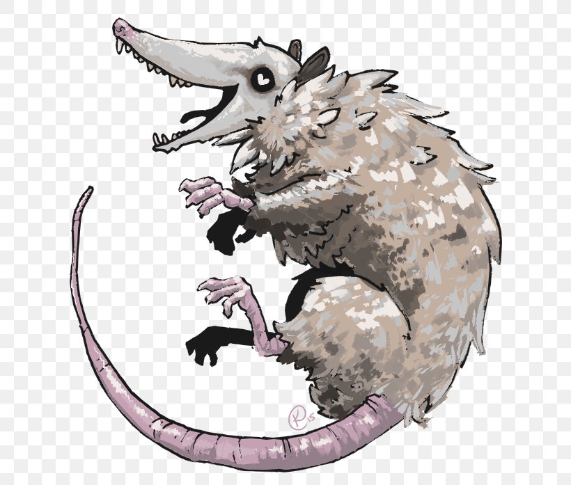 Opossum Pacific Crest Trail Sketchbook Snout Carnivora, PNG, 687x697px, Opossum, Carnivora, Carnivoran, Cartoon, Claw Download Free