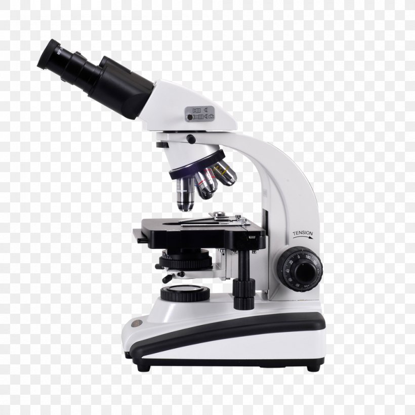 Optical Microscope Light Scanning Electron Microscope Diagram, PNG, 1000x1000px, Microscope, Condenser, Digital Cameras, Digital Microscope, Electron Microscope Download Free