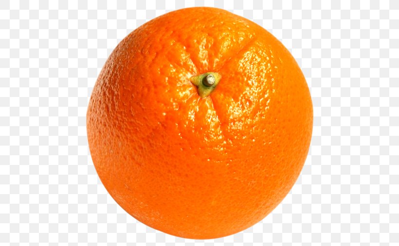 Orange Juice Tangerine Tangelo Grapefruit, PNG, 500x507px, Orange Juice, Bitter Orange, Citric Acid, Citrus, Clementine Download Free