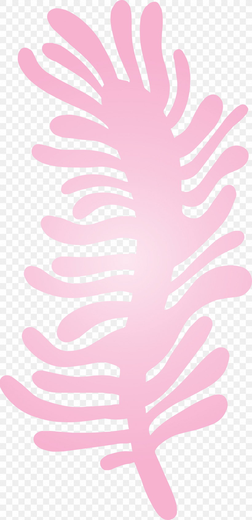 Petal Pink M Font Line Meter, PNG, 1455x3000px, Petal, Line, Meter, Pink M Download Free