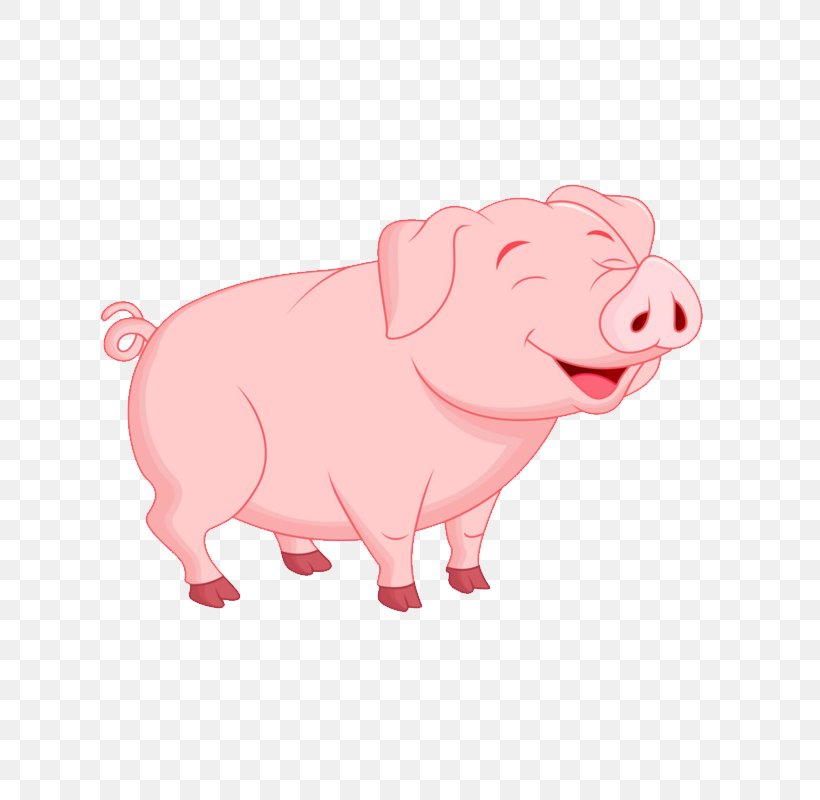 Pig Vector Graphics Image Cartoon, PNG, 800x800px, Pig, Cartoon, Copyright, Dog Breed, Dog Like Mammal Download Free