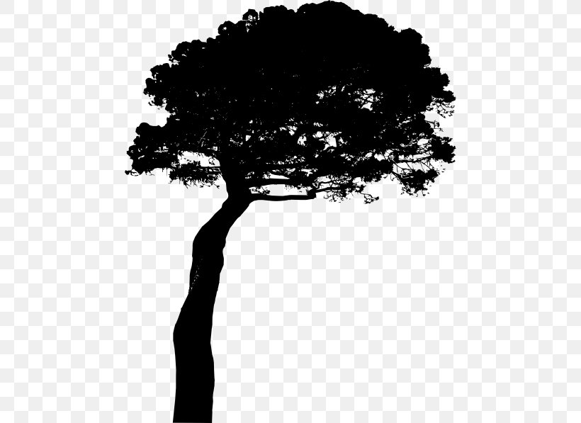 Stone Pine Tree Clip Art, PNG, 468x597px, Stone Pine, Black And White, Bonsai, Branch, Conifers Download Free
