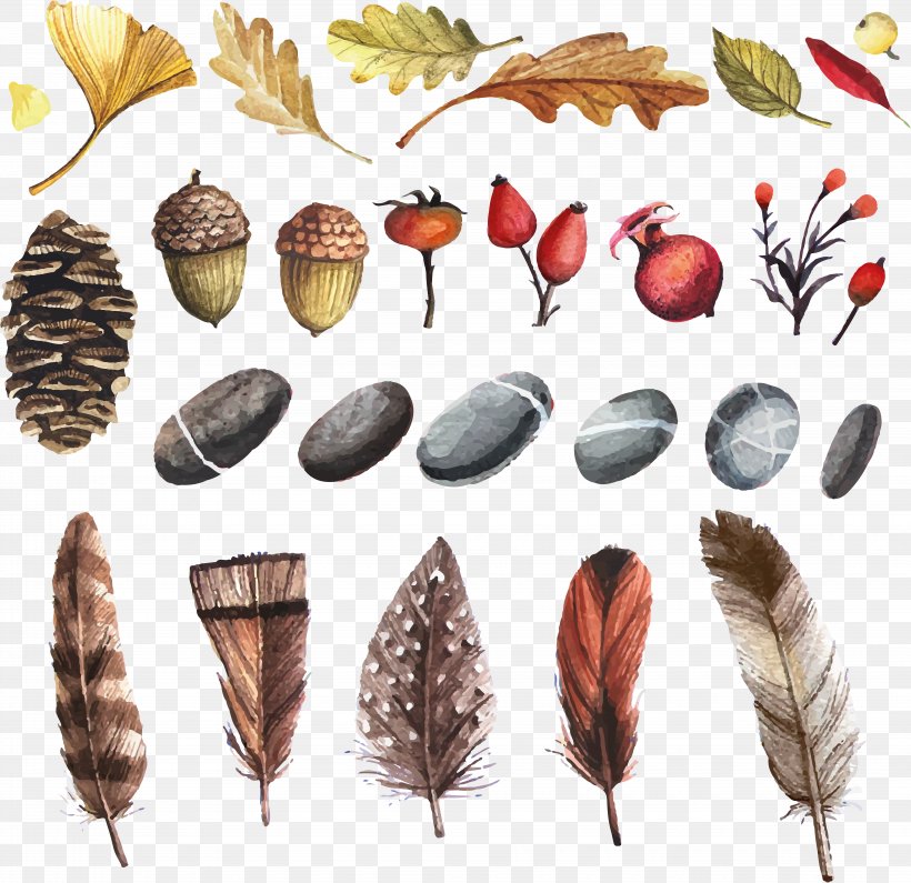 Watercolor Painting Flower Clip Art, PNG, 8285x8039px, Watercolor Painting, Art, Autumn, Commodity, Conifer Cone Download Free