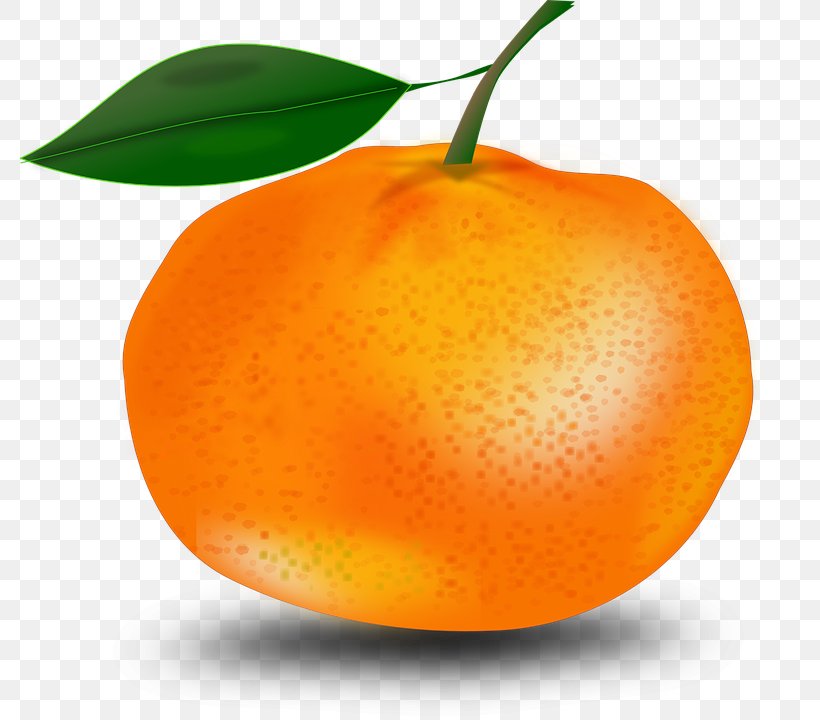 Orange Clip Art, PNG, 780x720px, Orange, Art, Bitter Orange, Citrus, Clementine Download Free