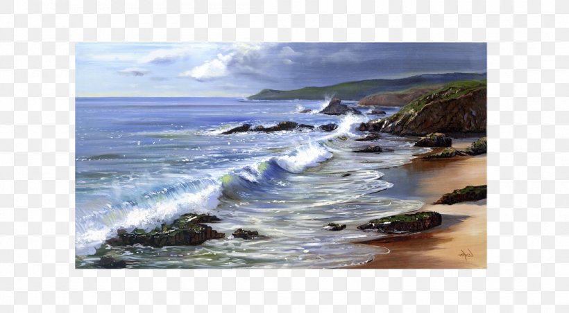 Seashell Shore Ocean Coast Beach, PNG, 1100x607px, Seashell, Bay, Beach, Coast, Coastal And Oceanic Landforms Download Free