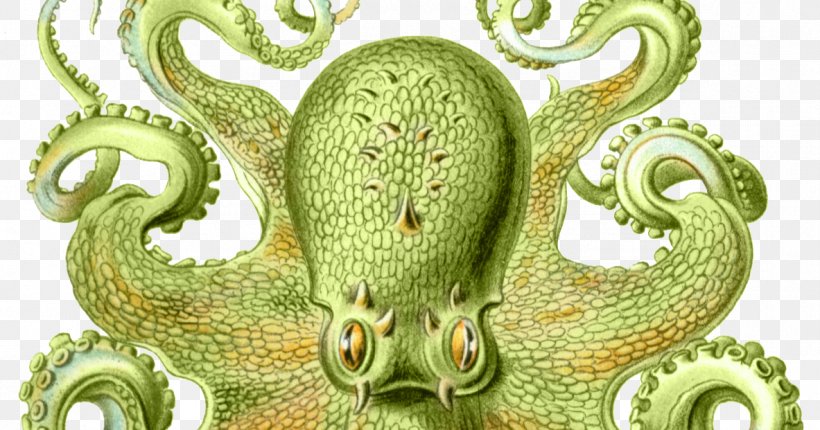 Art Forms In Nature Octopus Cephalopod Squid Siphonophorae, PNG, 1183x621px, Art Forms In Nature, Biologist, Cephalopod, Enteroctopus, Enteroctopus Dofleini Download Free