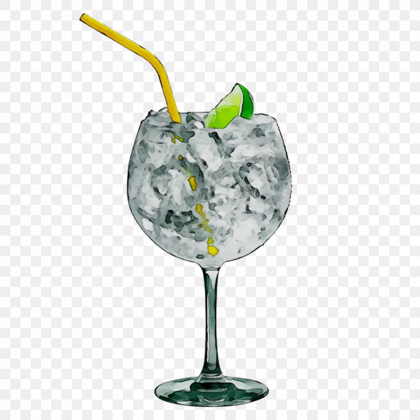 Gin And Tonic Vodka Tonic Cocktail Garnish, PNG, 1080x1080px, Gin And Tonic, Alcoholic Beverage, Cocktail, Cocktail Garnish, Distilled Beverage Download Free