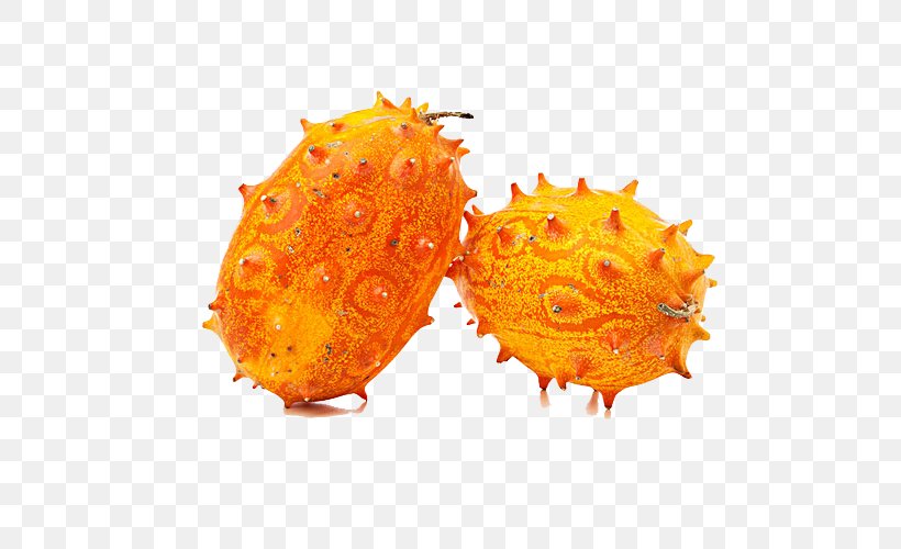 Horned Melon Cucumber Fruit Stock Photography, PNG, 600x500px, Horned Melon, Auglis, Cucumber, Cucumis, Cucurbita Download Free