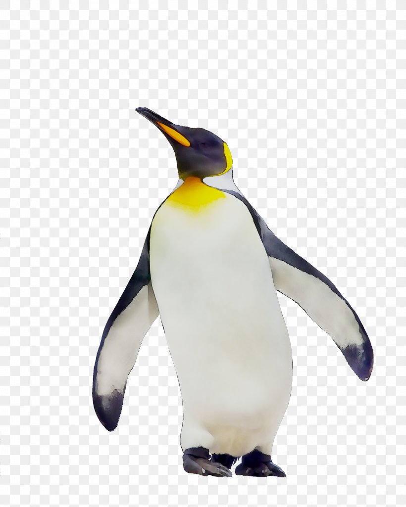 Perezosos (Sloths) (Spanish Version) King Penguin Book, PNG, 2500x3125px, Penguin, Animal Figure, Beak, Bird, Book Download Free