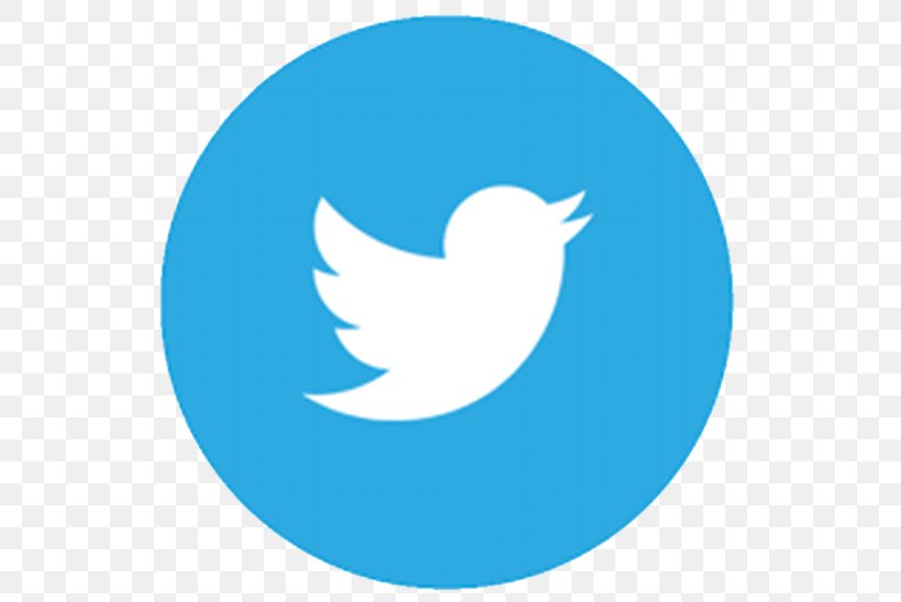Social Media Logo, PNG, 551x548px, Social Media, Azure, Beak, Blog, Blue Download Free