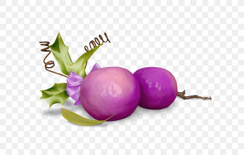 Turnip Fruit, PNG, 1542x978px, Turnip, Food, Fruit, Purple, Vegetable Download Free