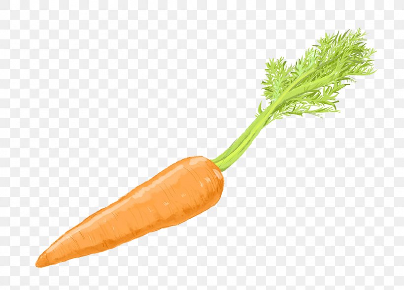 Carrot Cake Baby Carrot Vegetable, PNG, 1065x765px, Carrot Cake, Baby Carrot, Carrot, Carrot Juice, Eggplant Download Free