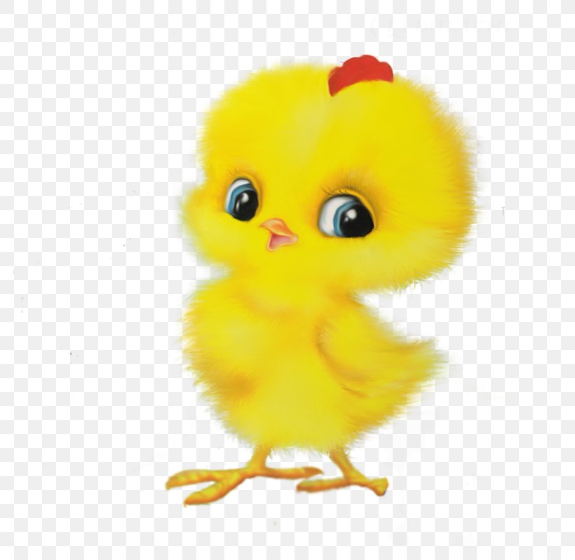Chicken Child Game Easter Egger, PNG, 800x800px, Chicken, Age, Beak, Bird, Child Download Free