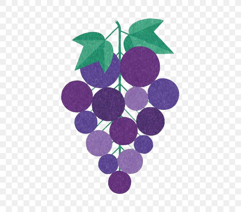 Common Grape Vine Vitis Californica Wine Illustration, PNG, 509x720px, Common Grape Vine, Fruit, Grape, Grapevine Family, Grapevines Download Free