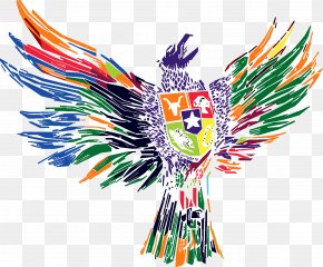 National Emblem Of Indonesia Garuda Pancasila Muhammadiyah University Of Malang PNG