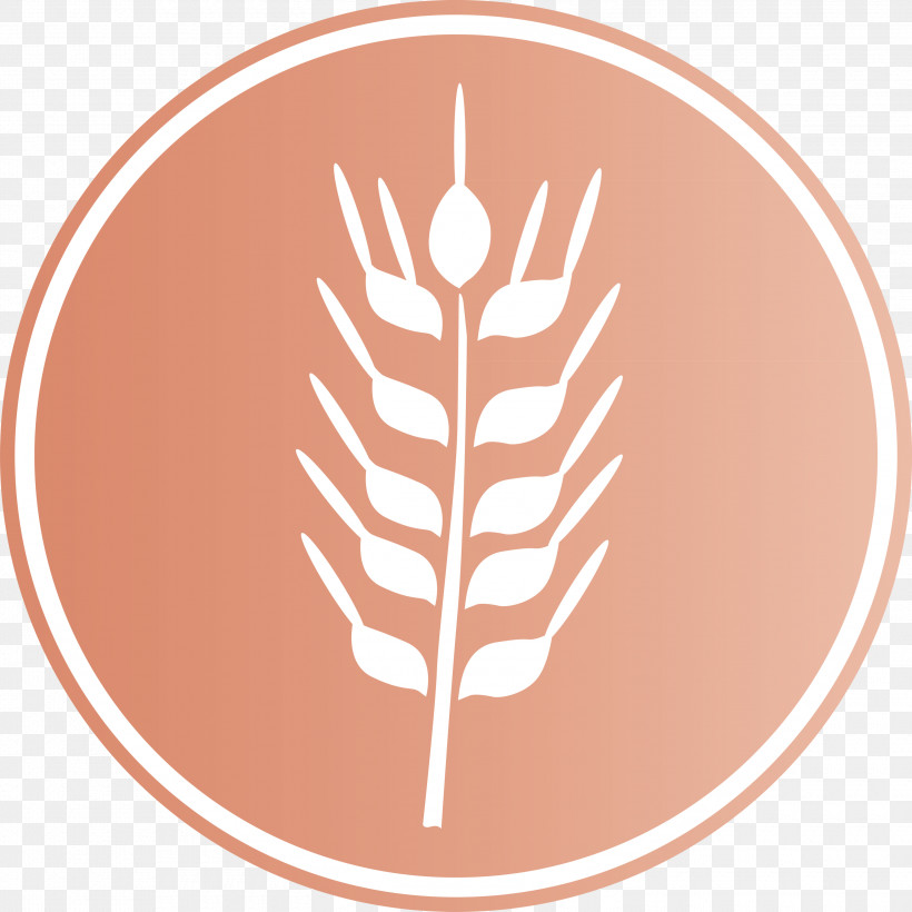 Oats Wheat Oats Logo, PNG, 3000x3000px, Oats, Biology, Leaf, Line, Meter Download Free