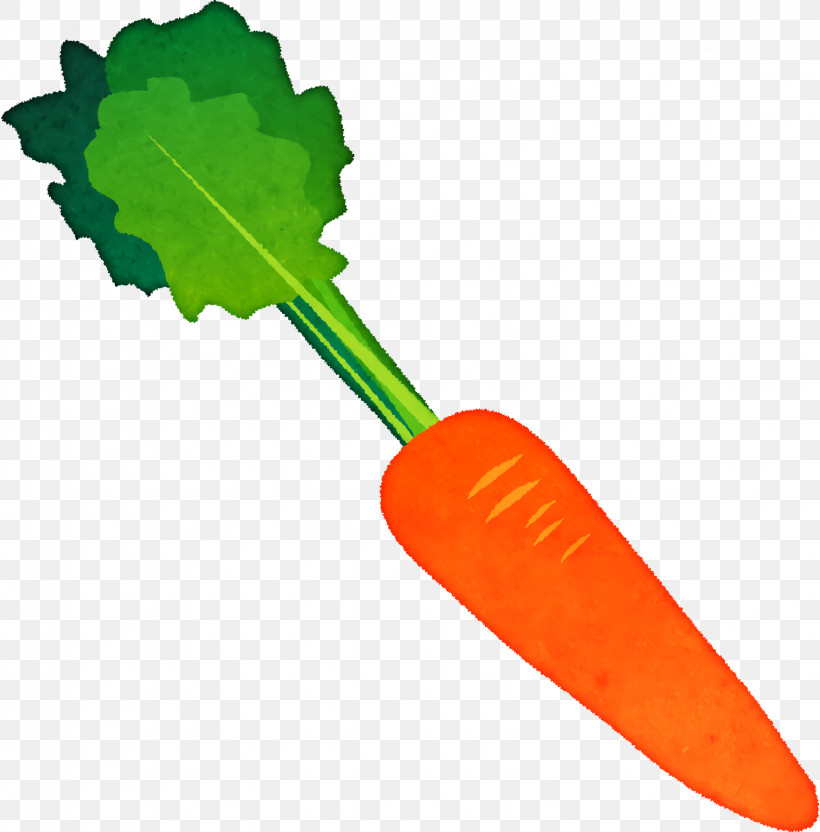 Vegetable, PNG, 1576x1600px, Vegetable Download Free