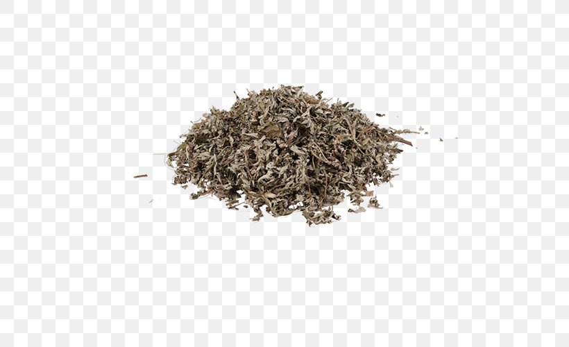 Artemisia Argyi Moxibustion Euclidean Vector Body, PNG, 500x500px, Artemisia Argyi, Assam Tea, Body, Ceylon Tea, Chun Mee Tea Download Free