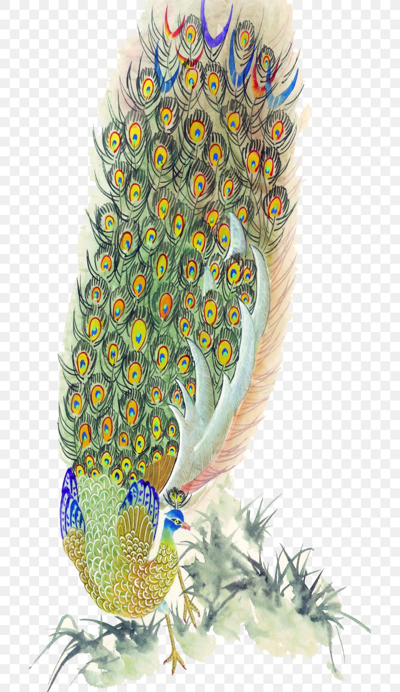 Bird Peafowl Feather Painting, PNG, 701x1417px, Bird, Animation, Asiatic Peafowl, Beak, Feather Download Free