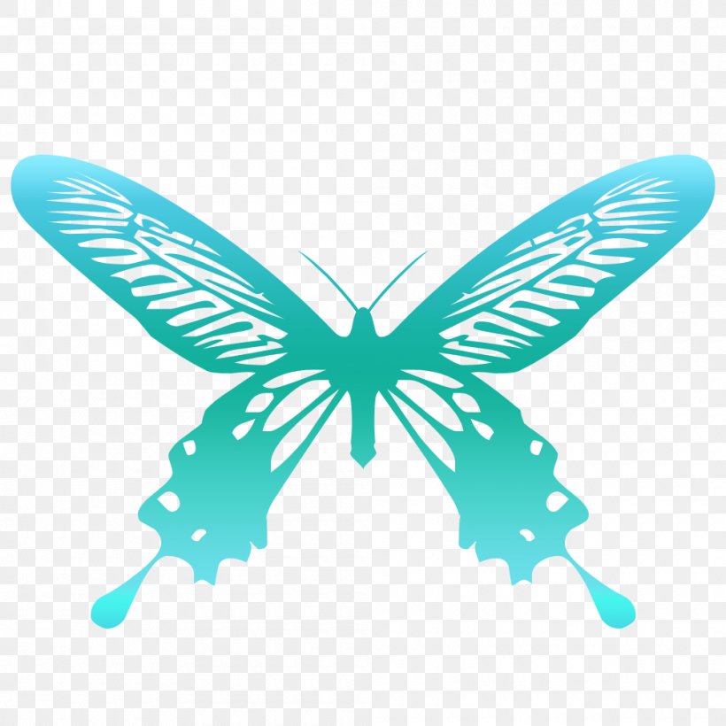 Butterfly Photography White Illustration, PNG, 1000x1000px, Butterfly, Aqua, Arthropod, Butterflies And Moths, Insect Download Free