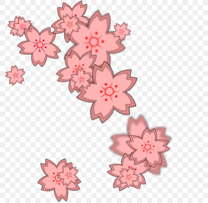 Cherry Blossom Flower Clip Art, PNG, 779x800px, Cherry Blossom, Blossom, Cherry, Color, Cut Flowers Download Free