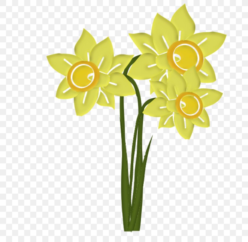 Clip Art Daffodil Image Flower, PNG, 800x800px, Daffodil, Amaryllis Family, Artificial Flower, Blog, Blume Download Free