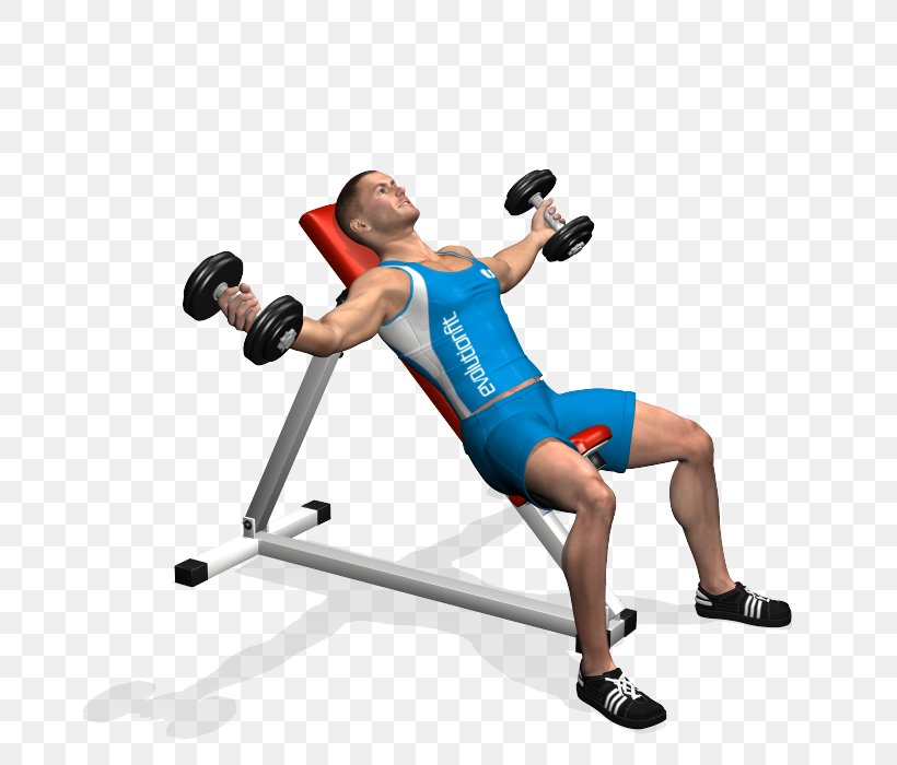 Fly Dumbbell Bench Exercise Weight Training, PNG, 700x700px, Fly, Arm, Barbell, Bench, Bench Press Download Free