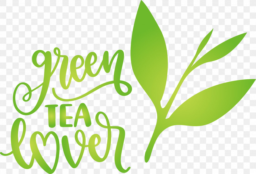 Green Tea Lover Tea, PNG, 3000x2038px, Tea, Coffee, Leaf, Logo, Menu Download Free