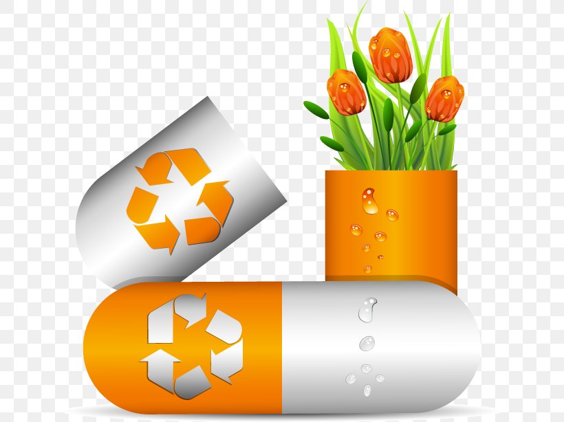 Medicine Capsule Download, PNG, 642x614px, Medicine, Capsule, Digital Image, Flower, Flowering Plant Download Free