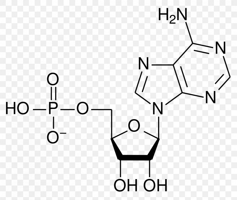 Adenosine Monophosphate Ribonucleotide Ribose, PNG, 1216x1024px, Watercolor, Cartoon, Flower, Frame, Heart Download Free