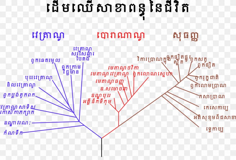 Biology Natural Science ចំណែកថ្នាក់នៃភាវៈរស់ Ecology, PNG, 1280x865px, Biology, Area, Cell, Diagram, Ecology Download Free