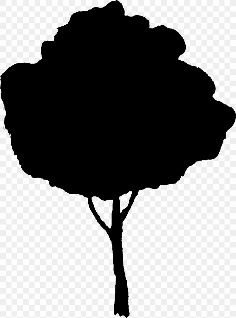 Tree Silhouette, PNG, 859x1158px, Laundry, Blackandwhite, Cleaning, Couvert De Table, Detergent Download Free