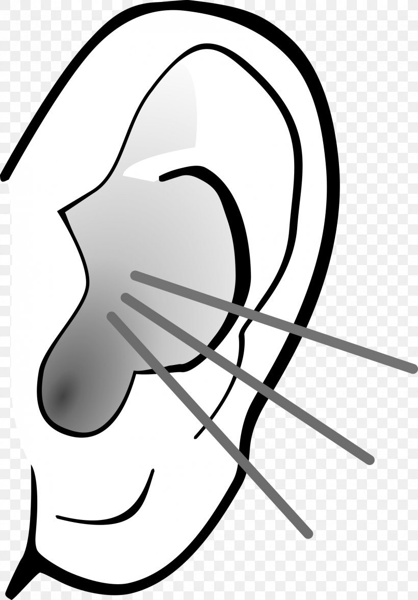 Listening Ear Clip Art, PNG, 1671x2400px, Watercolor, Cartoon, Flower, Frame, Heart Download Free