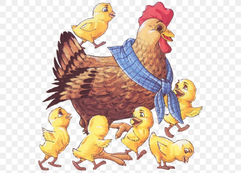 Rooster Chicken Kifaranga Hen Bird, PNG, 569x589px, Rooster, Animal Husbandry, Animal Slaughter, Art, Beak Download Free