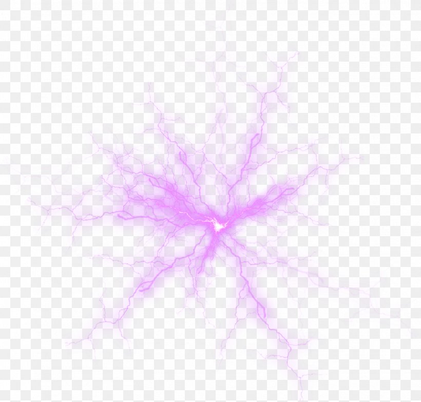 Symmetry Pink Petal Pattern, PNG, 1568x1499px, Light, Lilac, Magenta, Magic Light Effect, Pattern Download Free