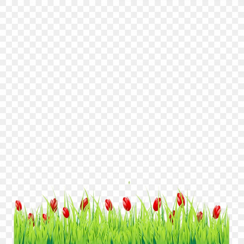 Tulip Flower, PNG, 2289x2289px, Tulip, Flower, Grass, Grass Family, Grasses Download Free